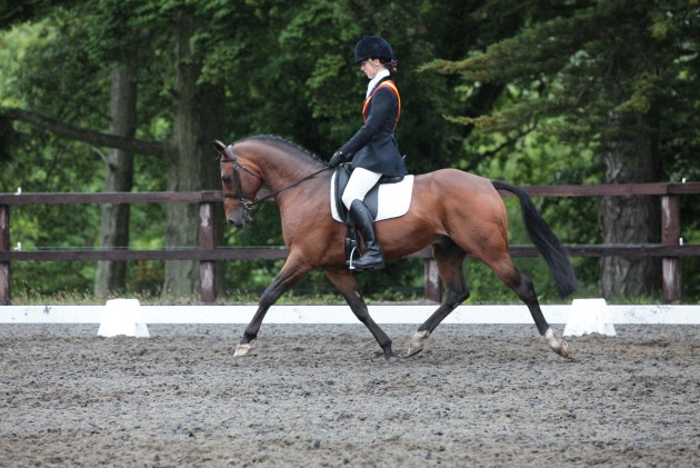 Marlton Summer Dressage Festival